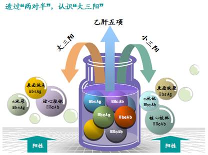 抗HBV-免疫疗法 辩证治疗“